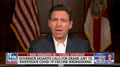 Ron DeSantis Lashes Out at ‘Authoritarians’ After Demanding Vaccine ‘Crime’ Probe