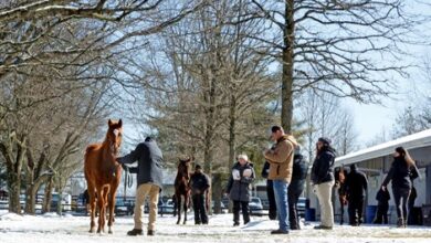 Fasig-Tipton adds 100 items for winter sale