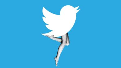 It’s Time for the Twitter Files to Focus on Porn Stars
