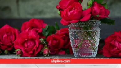 Gulab Ke Totke uses these astrological remedies from roses to get out of debt