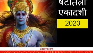 Shattila Ekadashi 2023 Til Meaning Six Ways to Use Til On Shattila Ekadashi to Receive Vishnu Blessings