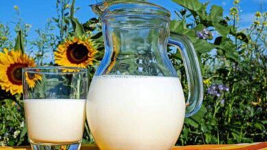 Milk Has Many Health Benefits Know More About Pros