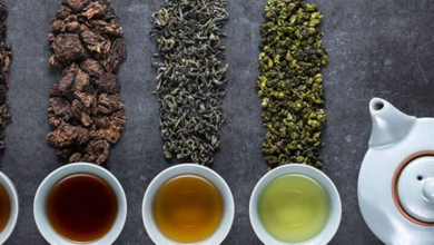What is the Healthiest Black, White or Green Tea