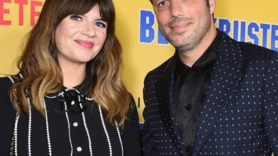 Casey Wilson and husband David Caspe Welcome baby number 3 via surrogate