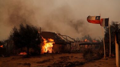 Chile wildfires leave at least 22 people dead, officials say