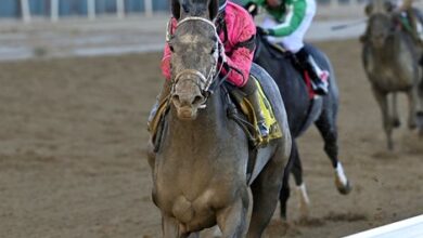 Hit Show's Withers Win puts him on the Derby Trail
