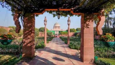 How to get to Amrit Udyan Time What to see there What's different in Amrit Udyan compared to other gardens