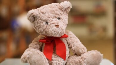 Teddy Day 2023: The meaning of different colors of teddy bears