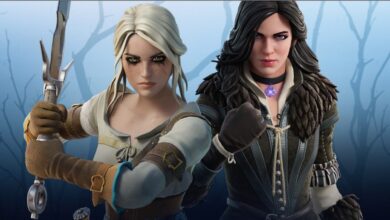 The Ladies Of The Witcher is storming in Fortnite