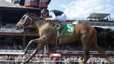 Despite Wide Trip, Candy Ride Filly Captures Spa Maiden For Pletcher