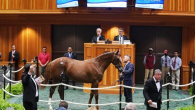 $4-Million Curlin--Beholder Colt Leads 'Magical Night' In Saratoga