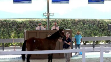 'Very Positive' Fasig-Tipton California Sale Topped by $250K Vronsky Colt