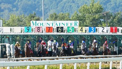 Mountaineer Steward Defends $100 Fine for Jockey Who Whipped Horse in Face