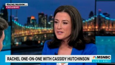 Cassidy Hutchinson Begs GOP to Stop Trump Before It’s Too Late on MSNBC
