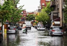 New York Needs to Get Spongier—or Get Used to More Floods