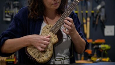 Guitar maker makes instruments out of mushrooms, beehive