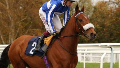 The Foxes Returns At Southwell